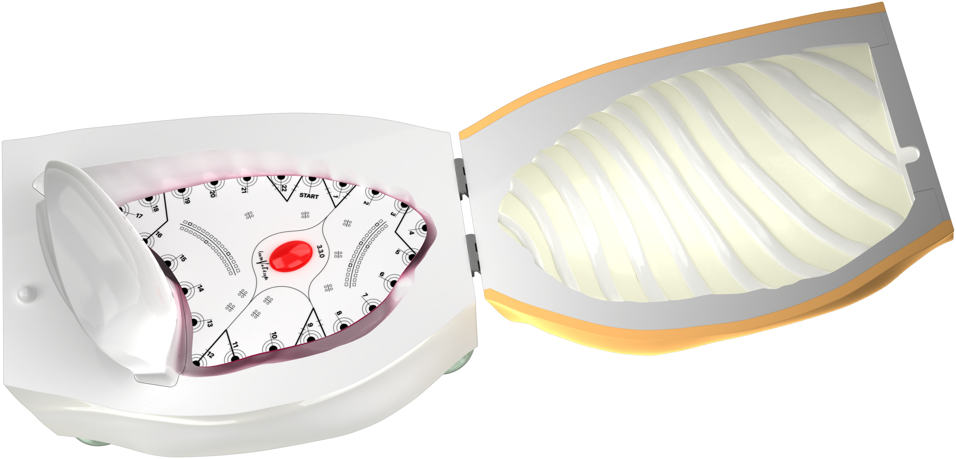 VATS Simulator with mounted flat lung