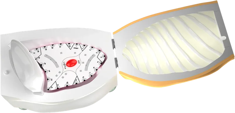 VATS Simulator with mounted flat lung